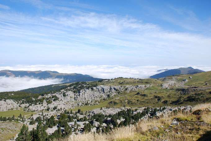 Valles del Roncal y Belagua y foces de Burgui y Mintxate - De paseo por el Pirineo Navarro (8)